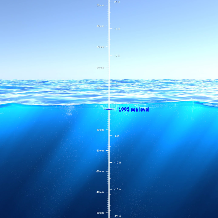 Sea Level Rise Center