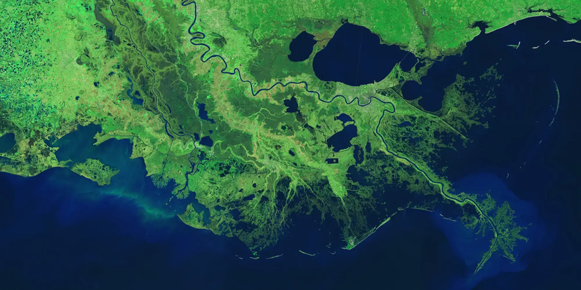 Biodiversity theme image