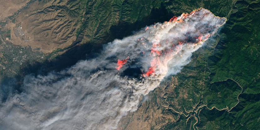 Wildfires theme image